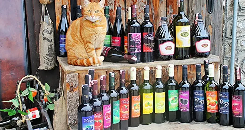 Fruit Wines, Sirince Village, Turkey